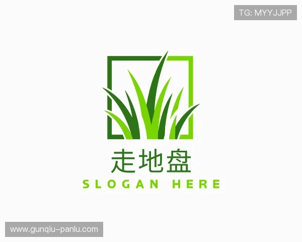 关于篮球滚球盘